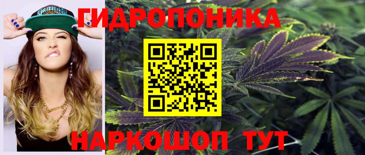 Бошки Шишки White Widow  МАРИХУАНА индика  Клин  Вход с VPN  Каннабис планчик  Канабис индика 